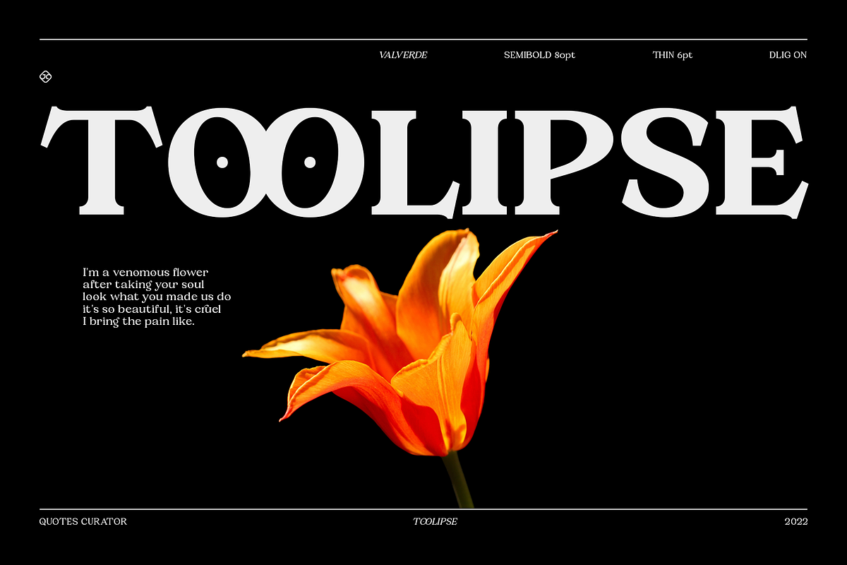Valverde Functional Serif-36 Fonts, a Serif Font by Jehoo Creative (Photo 3 of 15)