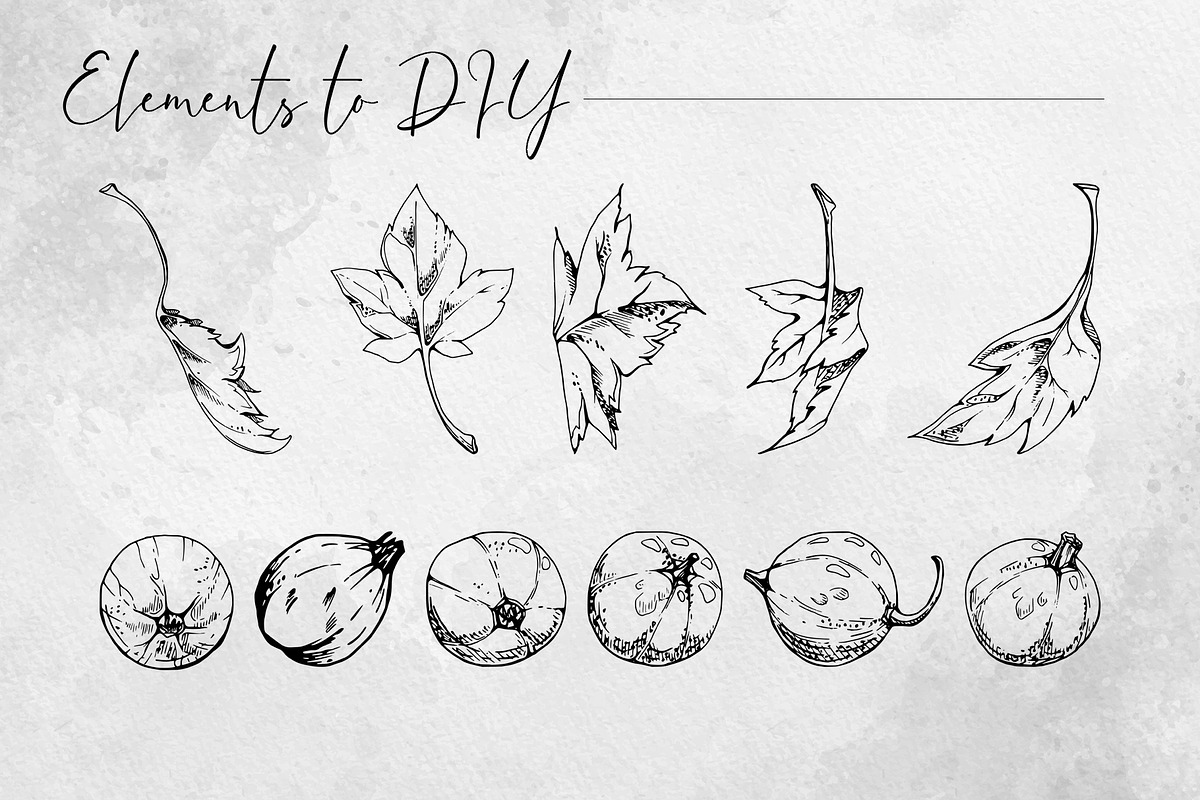 Inky currant drops, a Food Illustration by MsFlaffy (Photo 9 of 10)