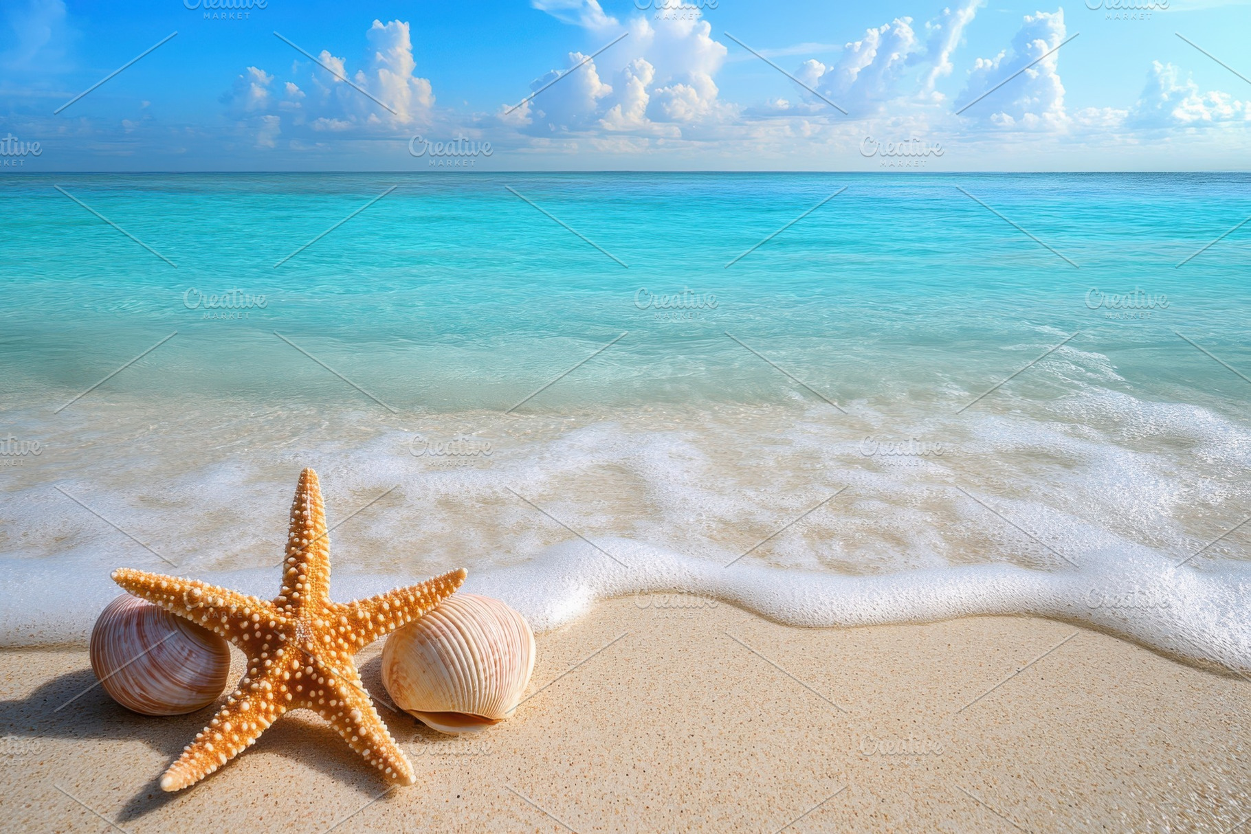 Starfish and seashells on a sandy be, a Photo by Pixeness Studio