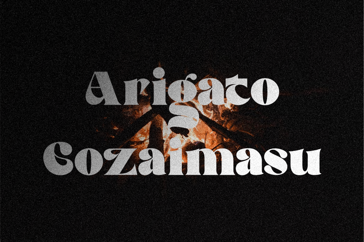 Vegetal Serif Font, a Serif Font by Typegoals Studio (Photo 8 of 8)