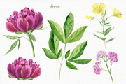 Florals watercolor set, an Illustration by Elegantia (Thumbnail 2 of 11)