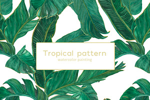 Palm Tree Leaves Patterns