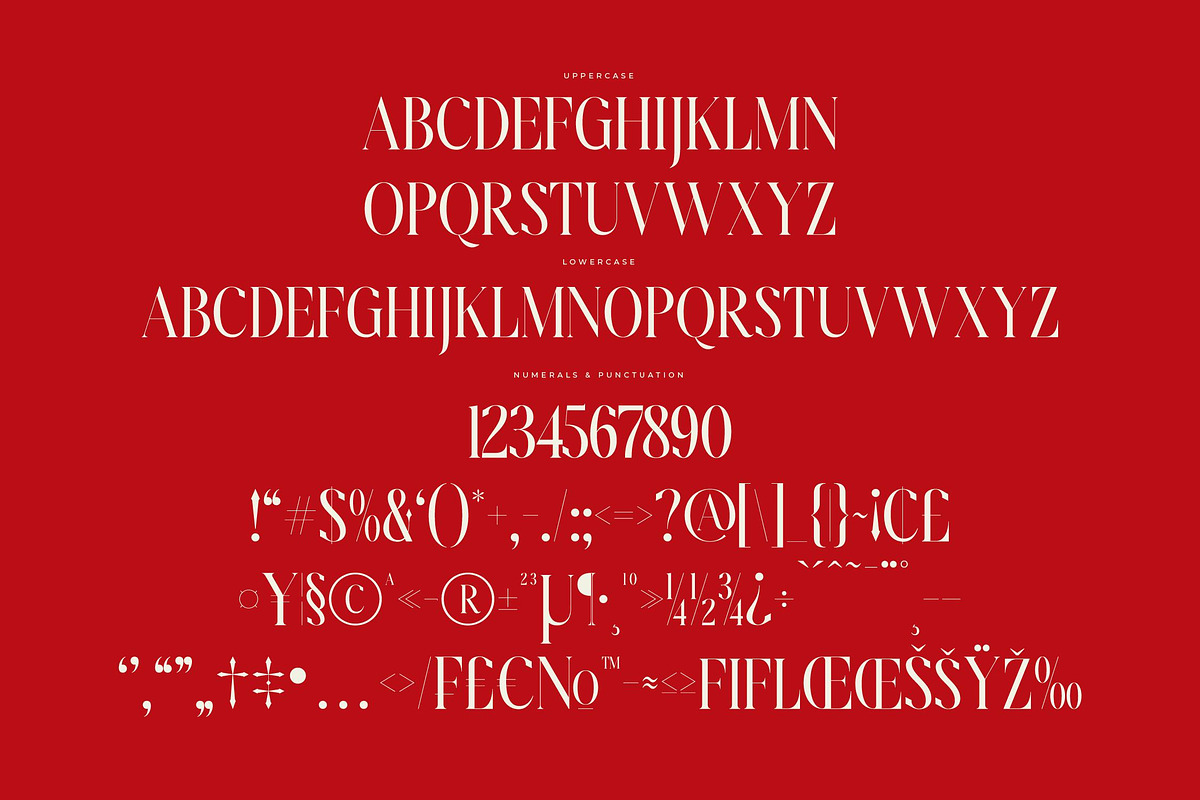 Amodhev Modern Serif Font, a Serif Font by Letterena Studios (Photo 13 of 15)