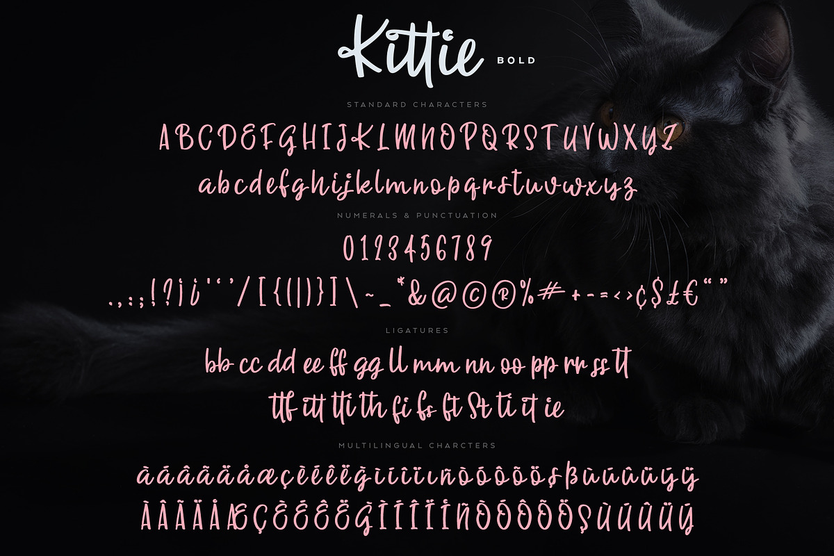 Kittie | Regular & Bold, a Script Font by Ayca Atalay (Photo 9 of 10)