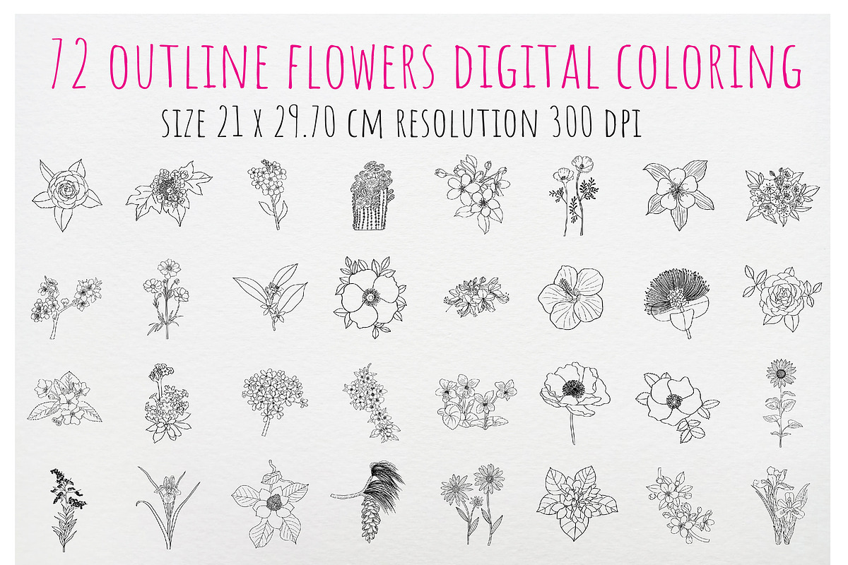 50 State Flowers for Coloring books, a Graphic by Hanatist Studio (Photo 4 of 8)