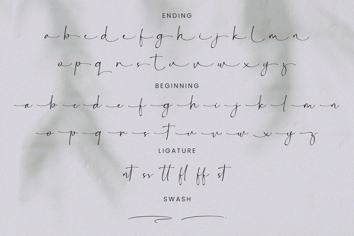 Bontana - Elegant Calligraphy Font, a Script Font by Flawless And Co (Photo 10 of 10)