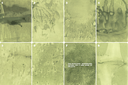 Matcha Club: Backgrounds Textures, a Background Graphic by Olha Kozachenko (Thumbnail 3 of 7)