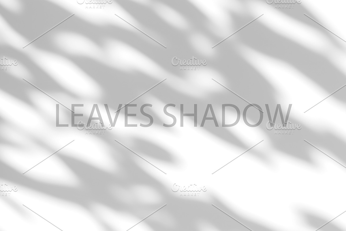 Leaves Shadow on Wall Background., a Background Graphic by kaisorn (Photo 7 of 8)