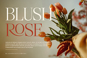 Luxury Styilsh Modern Serif Font, a Serif Font by Lettersiro (Thumbnail 6 of 7)