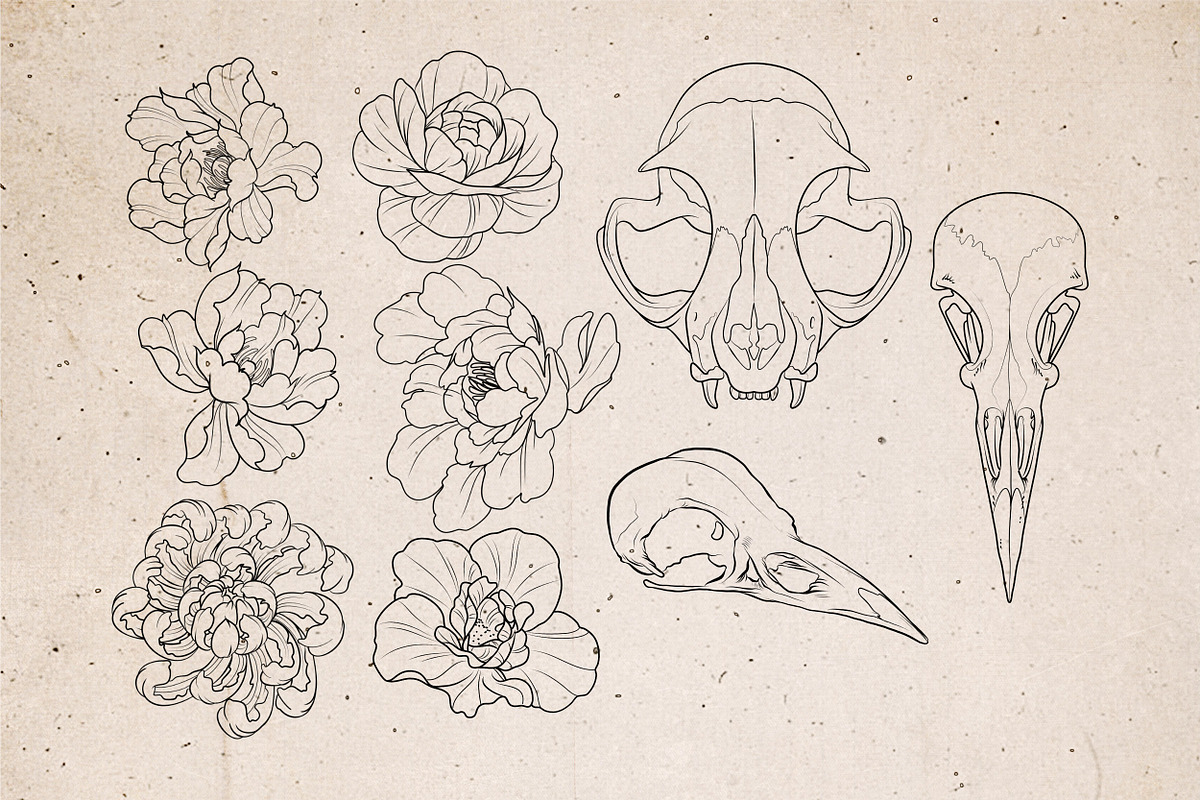 Procreate - Tattoo Basic Stencil Set, a Brush Add-On by DiBrush Studio (Photo 6 of 8)