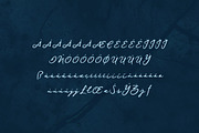 Haksen Script Font, a Script Font by Deeezy (Thumbnail 7 of 7)
