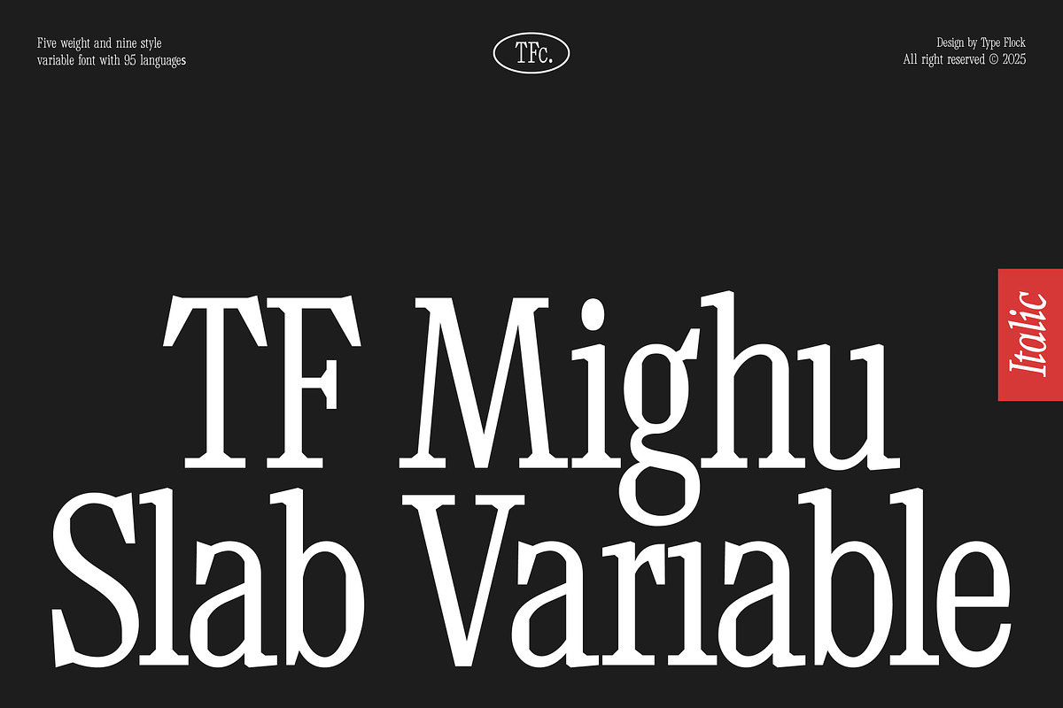 TF Mighu - Modern Slab Serif, a Serif Font by Type Flock (Photo 1 of 15)