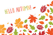 Hand drawn autumn leaves., an Education Illustration by Tkoko vectors & patterns (Thumbnail 4 of 12)