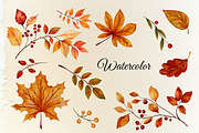 Watercolor Autumn animals set, a Seasonal Illustration by ZabolotnaArt (Thumbnail 7 of 13)