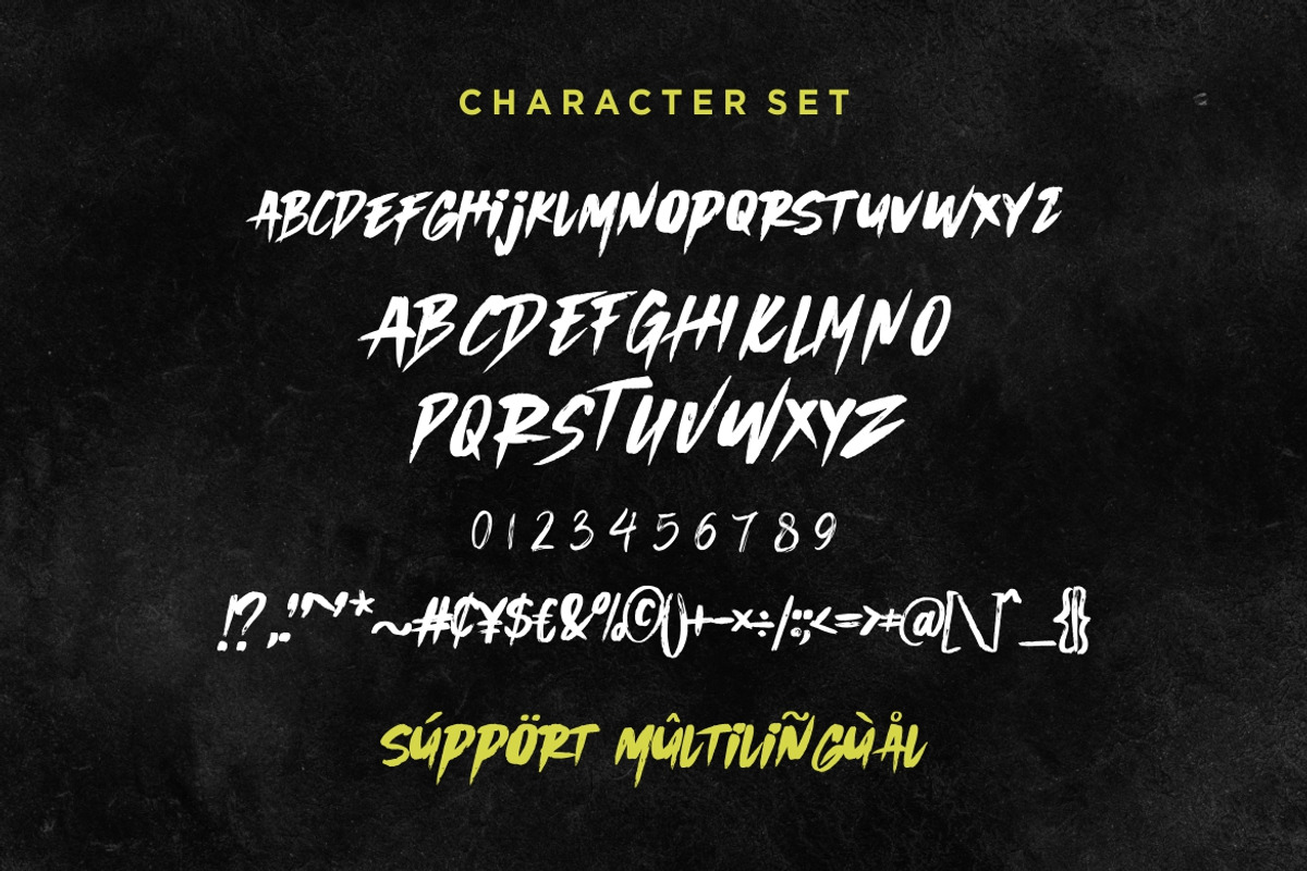 Wild Wolf - Brush Font, a Font by Burhan Afif (Photo 7 of 8)