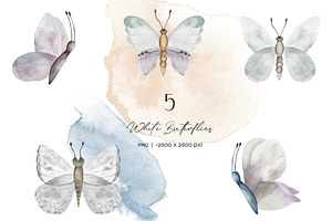 White And Color Butterflies Clipart