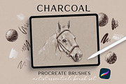 Charcoal Procreate Brushes & Paper, a Brushes & More by Pencil Twist (Thumbnail 1 of 6)