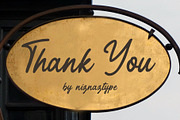 The Moonlite -  A Script Handwritten, a Script Font by nIznaztype (Thumbnail 5 of 5)