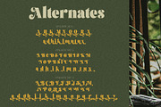 Brolike Typeface, a Serif Font by alit design (Thumbnail 7 of 18)
