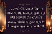 Idangle -Decorative Serif, a Serif Font by TypeClassHeroes (Thumbnail 10 of 10)