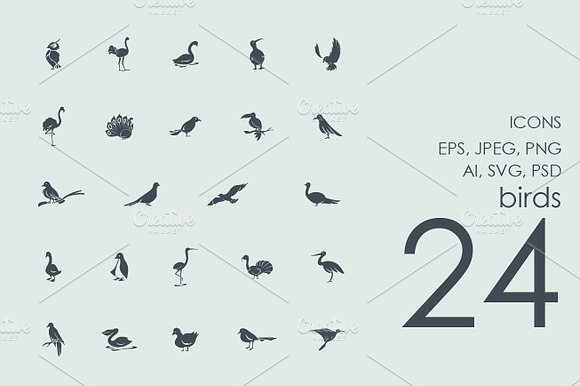 Set Of Birds Icons