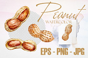 Watercolor Peanut Vector Set, a Pattern Graphic by Deckar_art (Thumbnail 3 of 3)