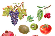 Fruits collection, watercolor set, a Food Illustration by AkvarelRiver (Thumbnail 4 of 6)