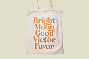 Engray Danton Modern Serif Font, a Serif Font by timelesstype.co (Thumbnail 14 of 20)