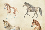 Welcom to the horse ranch, an Animal Illustration by Watercolor arts (Thumbnail 2 of 6)