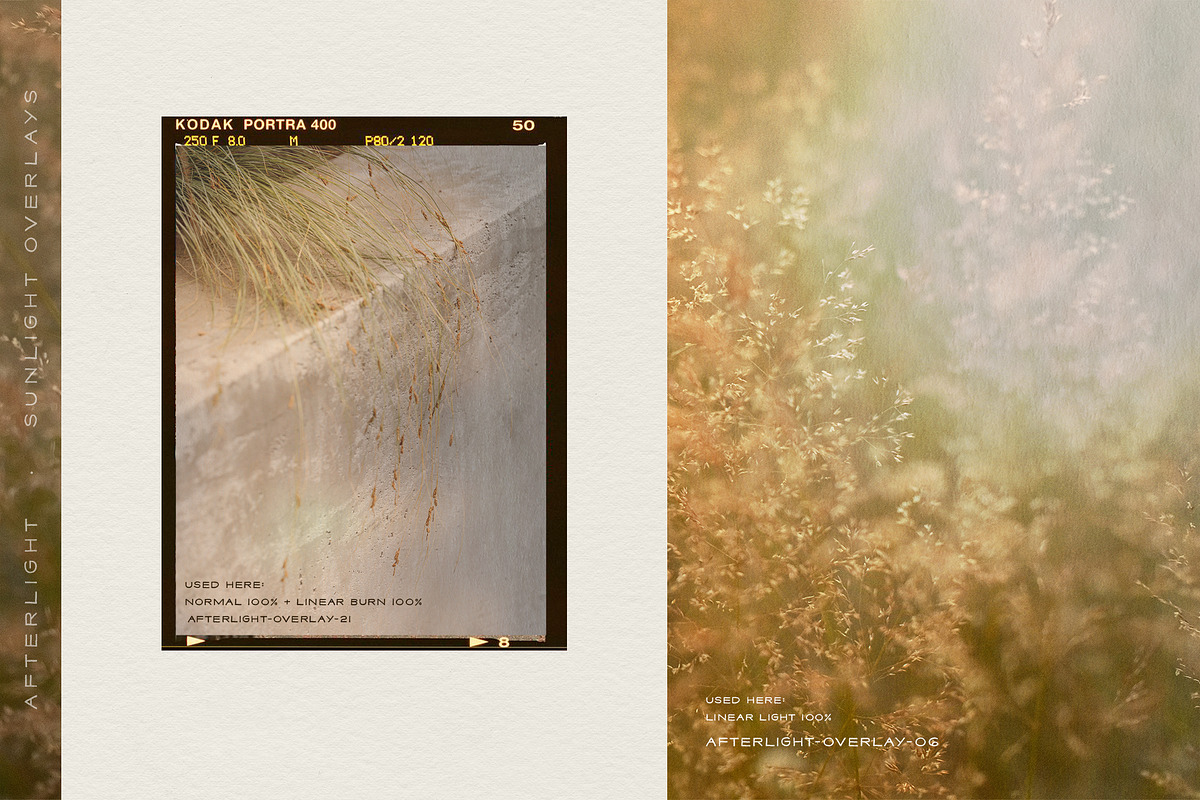 Afterlight - Light Overlays, a Texture Graphic by alonahaidash (Photo 6 of 18)