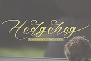 Marsellino, a Script Font by PollemSt (Thumbnail 3 of 8)