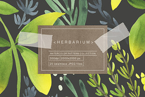 Herbarium. Vol.1