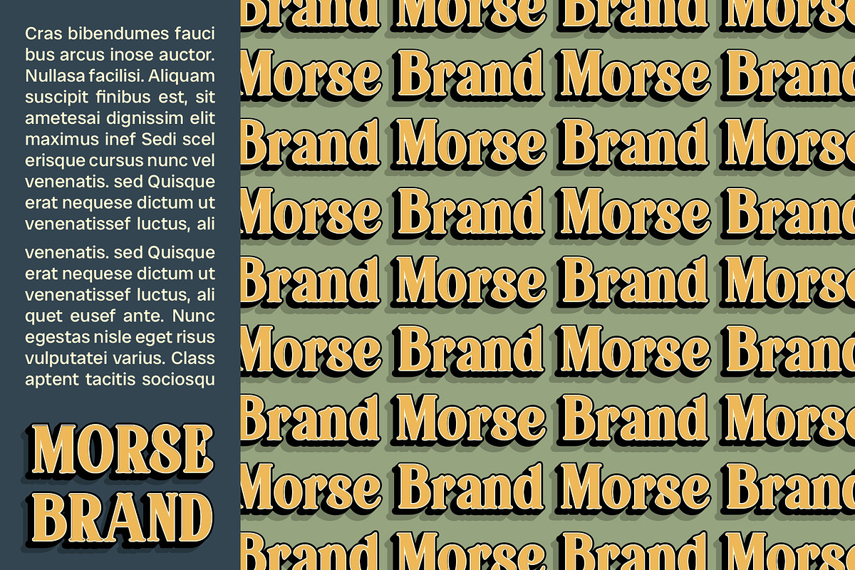 Badoney 3D, a Serif Font by Craft Supply Co. (Photo 3 of 8)