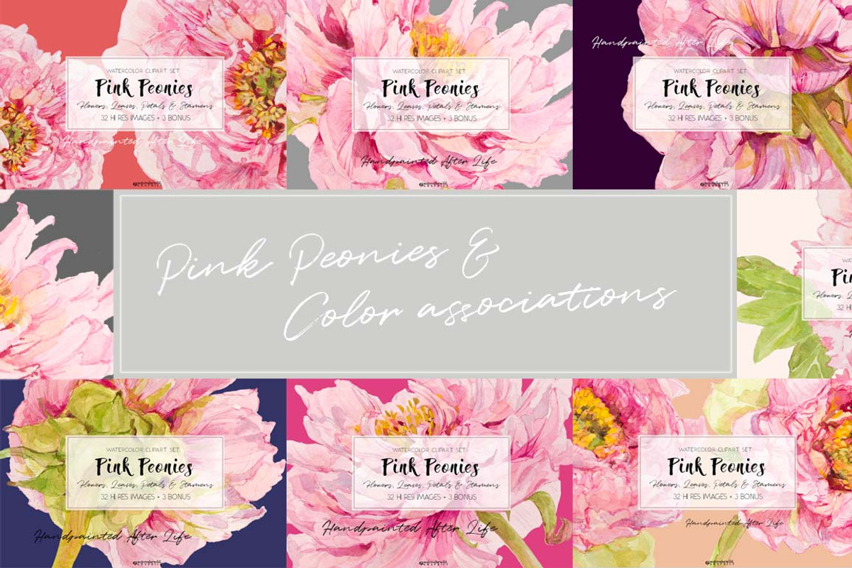 Pink Peonies-Clipart Set, an Illustration by watercolorwild.graphics (Photo 7 of 9)
