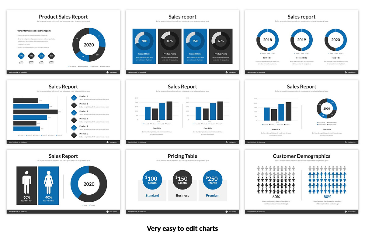 Best Sales Pitch Deck Google Slides, a Presentation Template by SlideBunny (Photo 11 of 21)