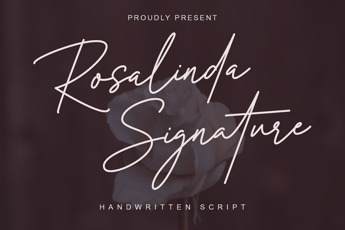 Rosalinda Signature Font, a Script Font by MJB Letters (Photo 1 of 10)