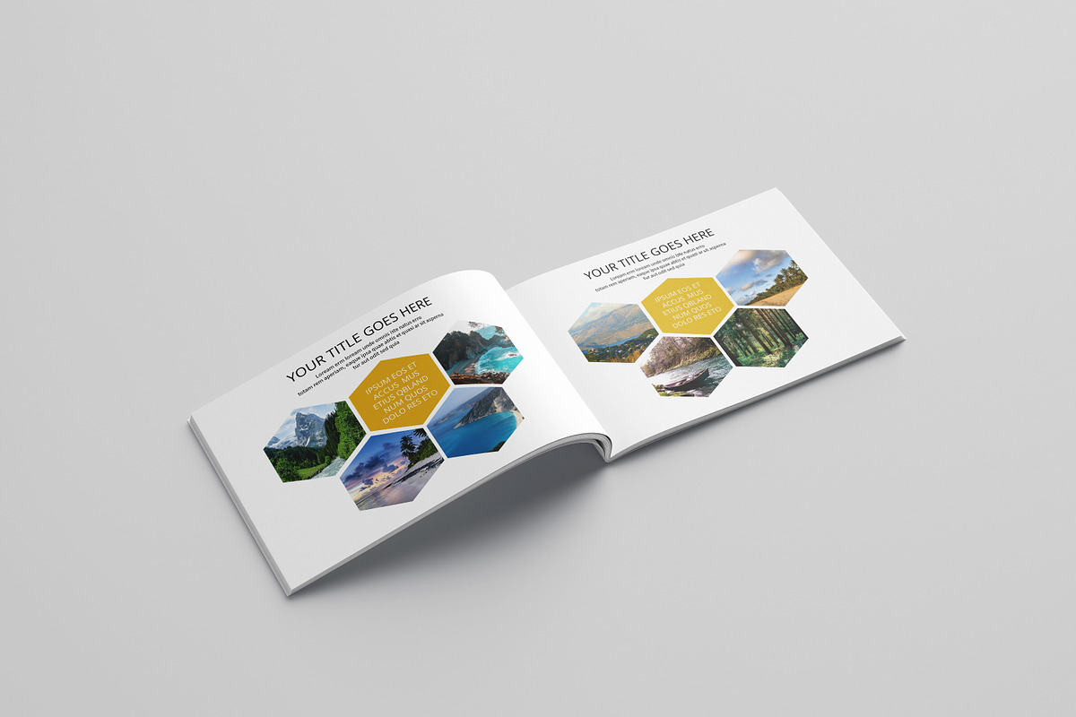 Multipurpose Portfolio Brochure, a Brochure Template by Template Shop (Photo 3 of 11)