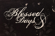 Nars, a Script Font by Misprinted Type (Thumbnail 3 of 3)