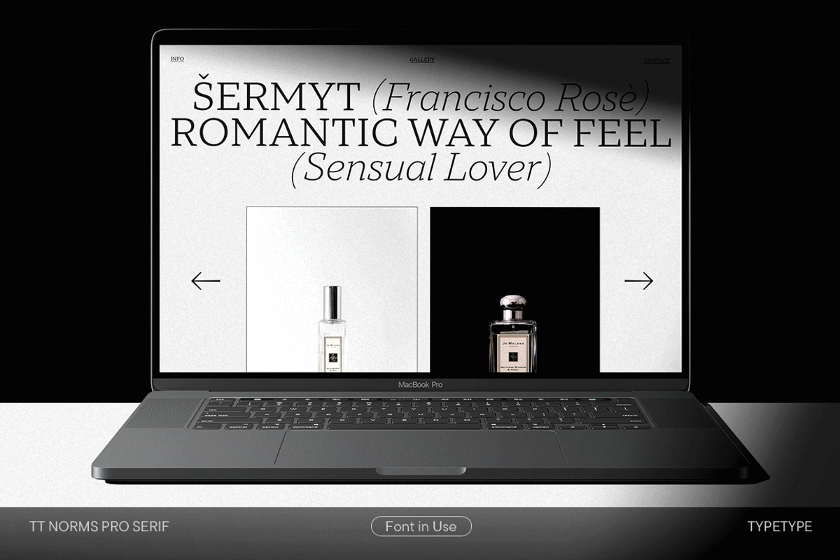 TT Norms Pro Serif, a Serif Font by TypeType (Photo 7 of 15)