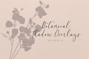 Botanical Shadow Overlays Bundle, a Graphic by denofdreamers (Thumbnail 1 of 4)