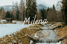 Milena Monoline Script