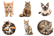 Beautiful Watercolor Cats Clipart, an Illustration by Pixels.Craft (Thumbnail 5 of 5)