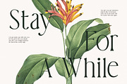 Theorine Modern Condensed Serif Font, a Serif Font by Vadovastd (Thumbnail 5 of 7)