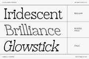CS Collagen – Modern Font, a Serif Font by Craft Supply Co. (Thumbnail 4 of 8)