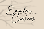 Heybrader - Handwritten Script Font, a Script Font by overlaytemplates (Thumbnail 2 of 5)