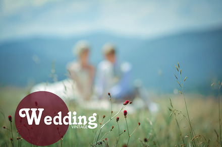 Wedding preset best universal LR preview 7