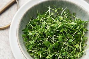 Fresh microgreens in bowl with scissors for healthy eating, a Food & Drink Photo by Olena Rudo