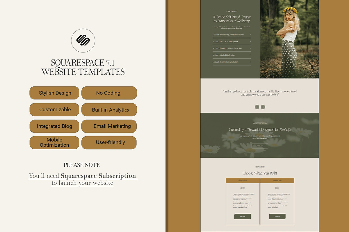 Sales Page Website Template, a Squarespace Template by 3.14&Co (Photo 6 of 11)