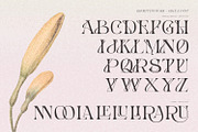 GLACEA - Display Font, a Font by Khoir (Thumbnail 9 of 14)
