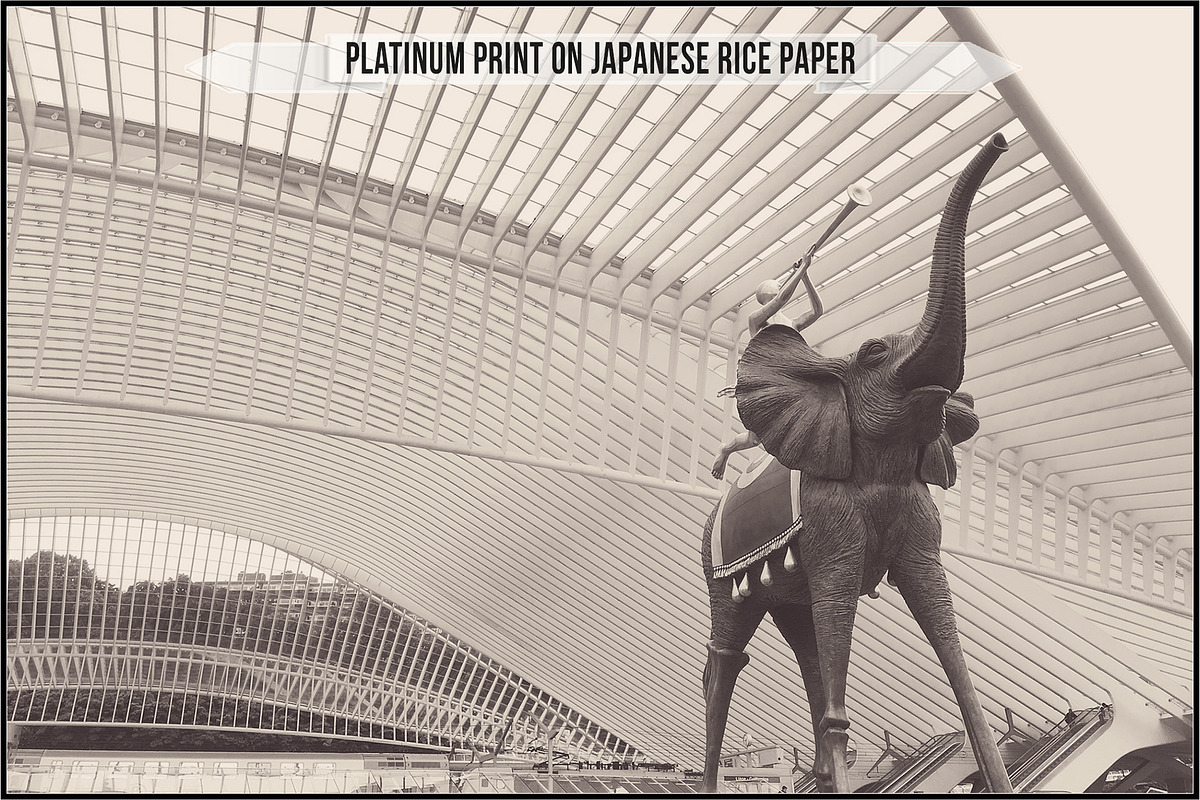 Platinum Palladium Prints LUTs, a Plug-in Add-On by Raztrend (Photo 22 of 32)